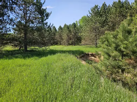 9250 E Mannsiding, Clare, MI 48617 photo 3