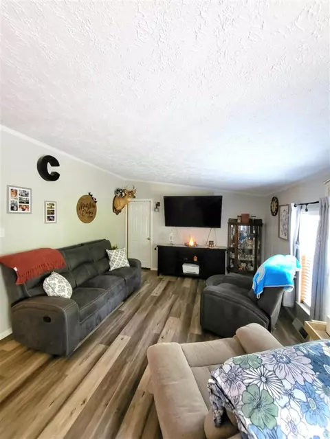 Living - 232 S Tabor, Lyons, MI 48851 photo 1 of 2