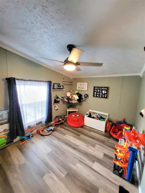 Other - 232 S Tabor, Lyons, MI 48851 photo 4 of 7