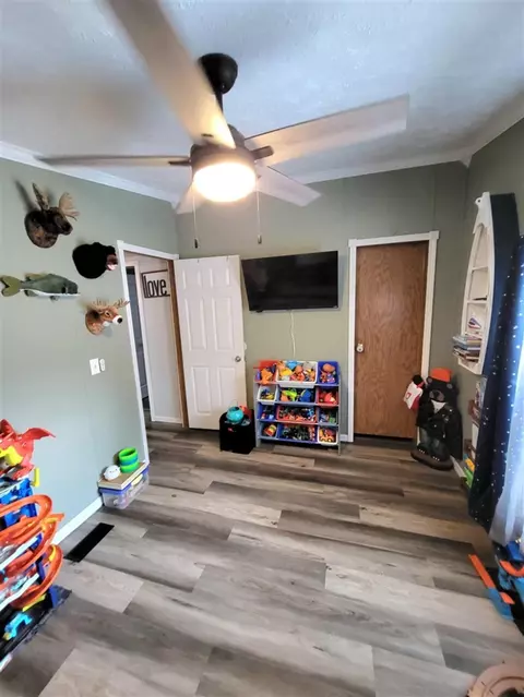 Other - 232 S Tabor, Lyons, MI 48851 photo 5 of 7