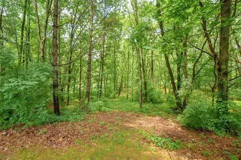12206 Cassidy, Bellevue, MI 49021 photo 29