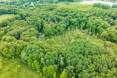 12206 Cassidy, Bellevue, MI 49021 photo 48