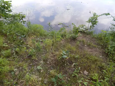 23-24 James, Three Rivers, MI 49093 photo 7