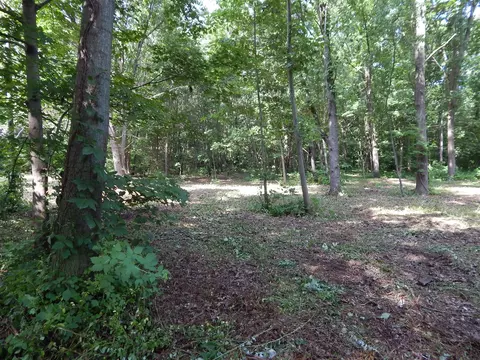 23-24 James, Three Rivers, MI 49093 photo 9