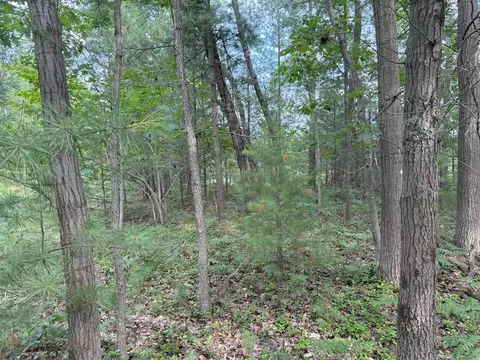 critter, Manistee, MI 49660 photo 3