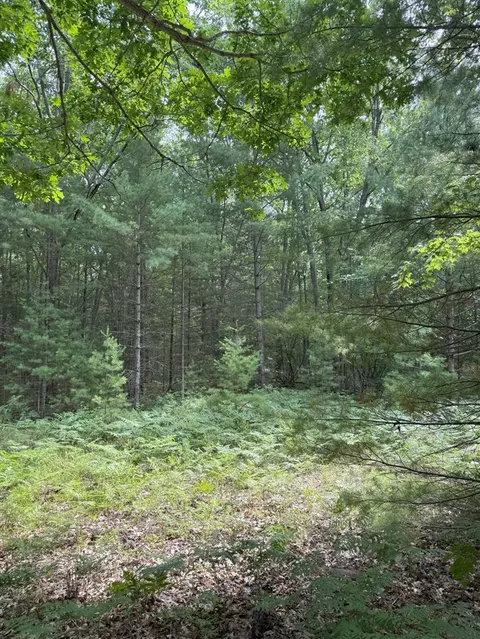 critter, Manistee, MI 49660 photo 10