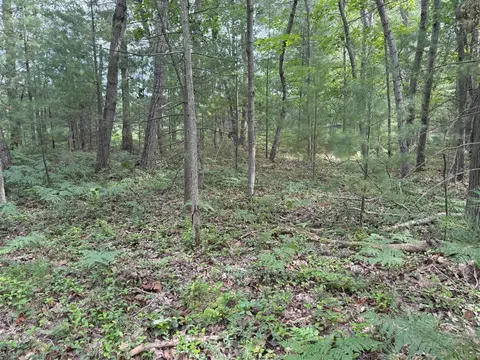 critter, Manistee, MI 49660 photo 6