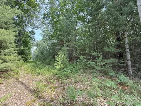 critter, Manistee, MI 49660