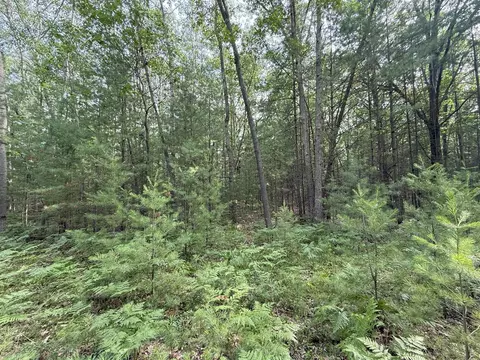 critter, Manistee, MI 49660 photo 12