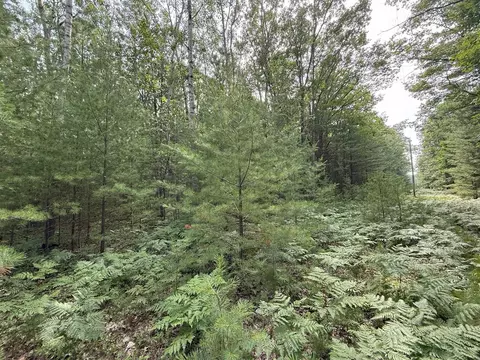 critter, Manistee, MI 49660 photo 14