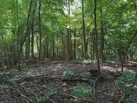 0 M-60, Cassopolis, MI 49031 photo 3