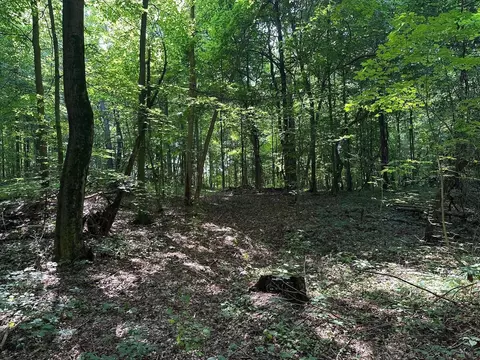 0 M-60, Cassopolis, MI 49031 photo 4