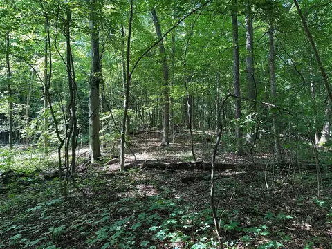 0 M-60, Cassopolis, MI 49031