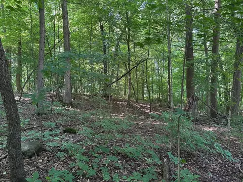 0 M-60, Cassopolis, MI 49031 photo 2