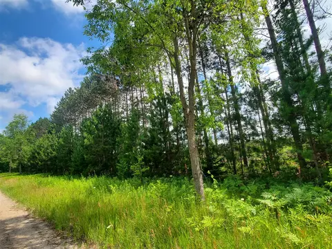 80 Acres Beall, Bear Lake, MI 49614