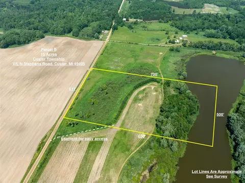 Parcel B N Stephens, Custer, MI 49405