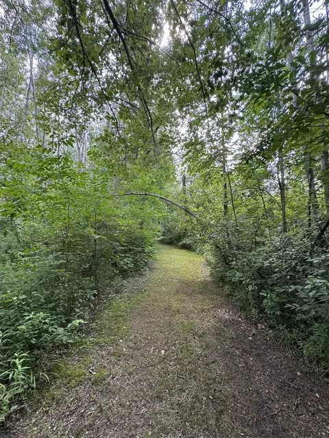 Other - 4563 Grim, Bentley, MI 48613 photo 11 of 33