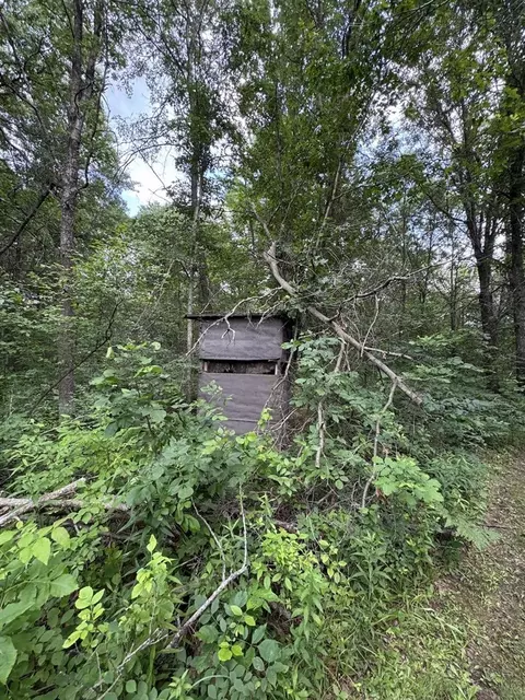 Exterior - 4563 Grim, Bentley, MI 48613 photo 32 of 34