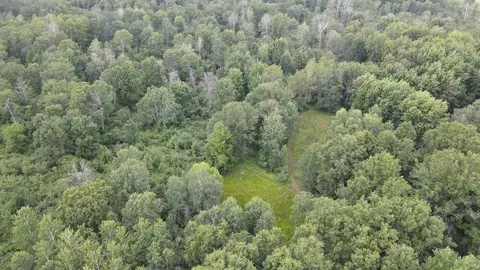 View/Area - 4563 Grim, Bentley, MI 48613 photo 6 of 7