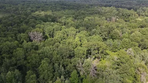 Other - 4563 Grim, Bentley, MI 48613 photo 2 of 33