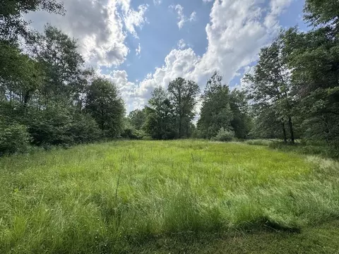 Exterior - 4563 Grim, Bentley, MI 48613 photo 31 of 34