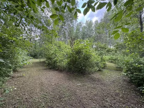 Exterior - 4563 Grim, Bentley, MI 48613 photo 33 of 34