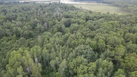 Other - 4563 Grim, Bentley, MI 48613 photo 3 of 33
