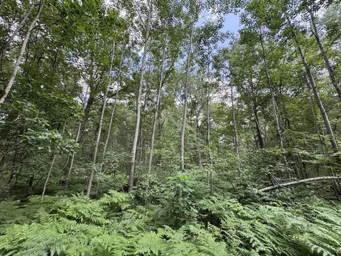 Exterior - 4563 Grim, Bentley, MI 48613 photo 14 of 34