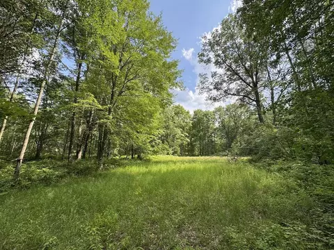Exterior - 4563 Grim, Bentley, MI 48613 photo 19 of 34
