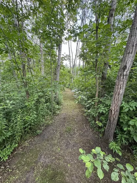 Other - 4563 Grim, Bentley, MI 48613 photo 12 of 33
