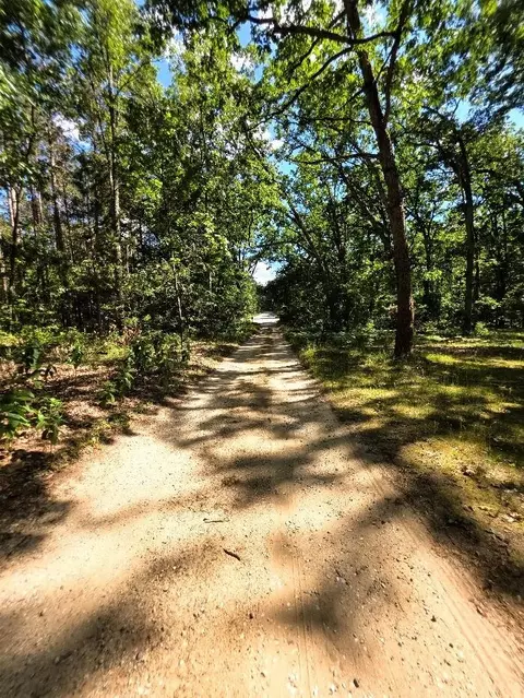 9945 N Jerome, Bitely, MI 49309 photo 10