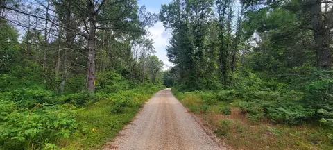 6464 S Weekend, Baldwin, MI 49304 photo 14