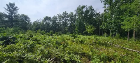 6464 S Weekend, Baldwin, MI 49304 photo 7