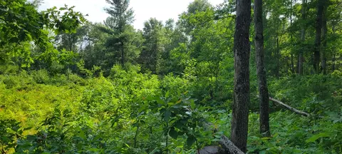 6464 S Weekend, Baldwin, MI 49304 photo 9