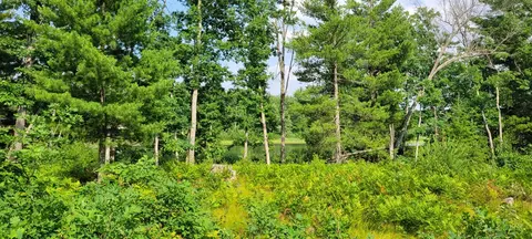 6464 S Weekend, Baldwin, MI 49304 photo 10