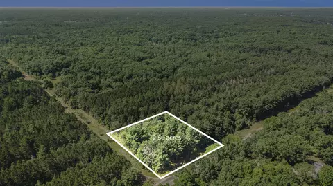 lot D 85th, Mecosta, MI 49332