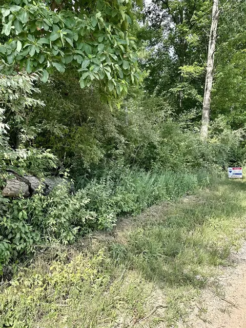 V/l E Decker, Branch, MI 49402 photo 3