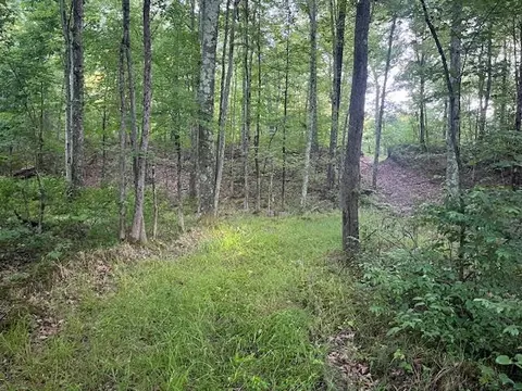 40 Acres 52nd, Pullman, MI 49450 photo 10