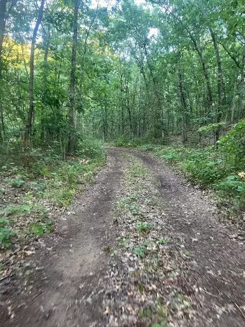 40 Acres 52nd, Pullman, MI 49450 photo 8
