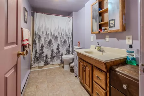 Bath - 51920 Lawrence, Marcellus, MI 49067 photo 1 of 1