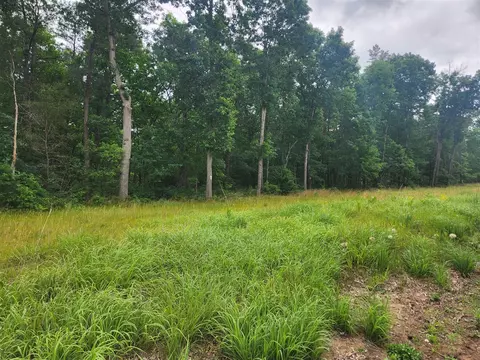 Parcel B W 16th, Baldwin, MI 49304 photo 3