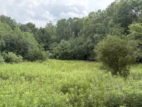 11546 E 3 12 Mile, Luther, MI 49656