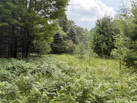 11546 E 3 12 Mile, Luther, MI 49656 photo 5