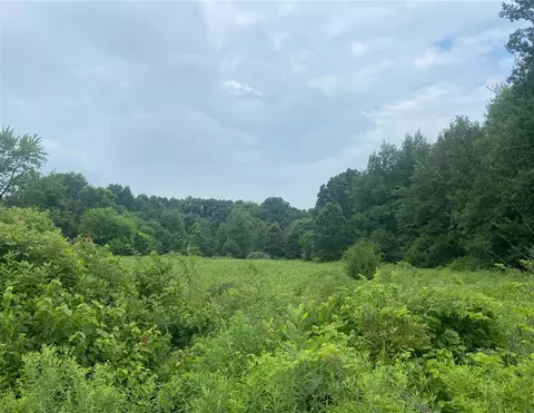 52700 Parkville, Three Rivers, MI 49093