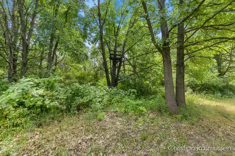 Exterior - 18 W Dick, Fenwick, MI 48834 photo 7 of 9