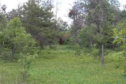 Other - 3320 Mapes Rd, Mio, MI 48647 photo 28 of 31
