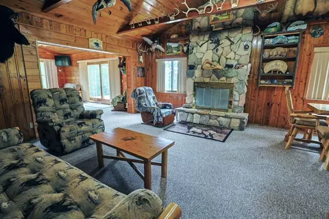 Living - 3320 Mapes Rd, Mio, MI 48647 photo 5 of 5