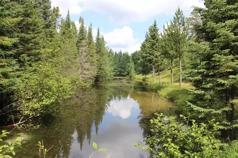 View/Area - 3320 Mapes Rd, Mio, MI 48647 photo 7 of 22