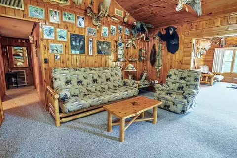 Living - 3320 Mapes Rd, Mio, MI 48647 photo 4 of 5
