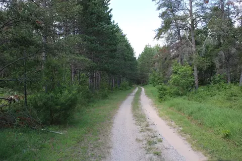 Other - 3320 Mapes Rd, Mio, MI 48647 photo 21 of 31